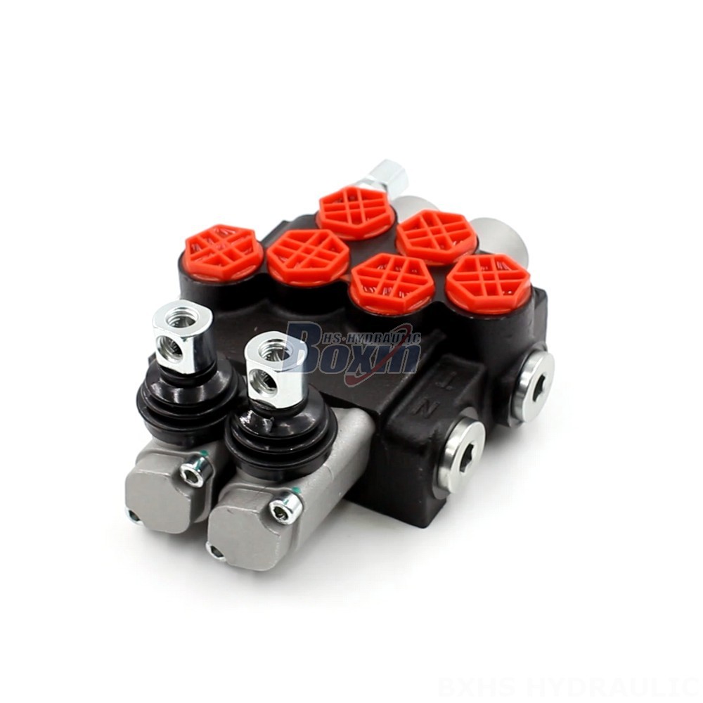 P40-G12 Manual 2 Spool Monoblock Directional Valve | Manufacturer & Global Supplier cover photo