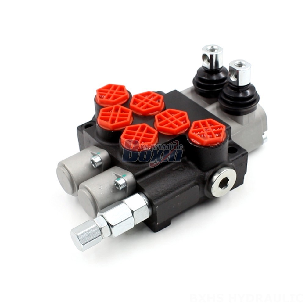 Hydraulic Cylinder Valve  Premium Hydraulic Control: P40-G12 Valve for Demanding Applications main image