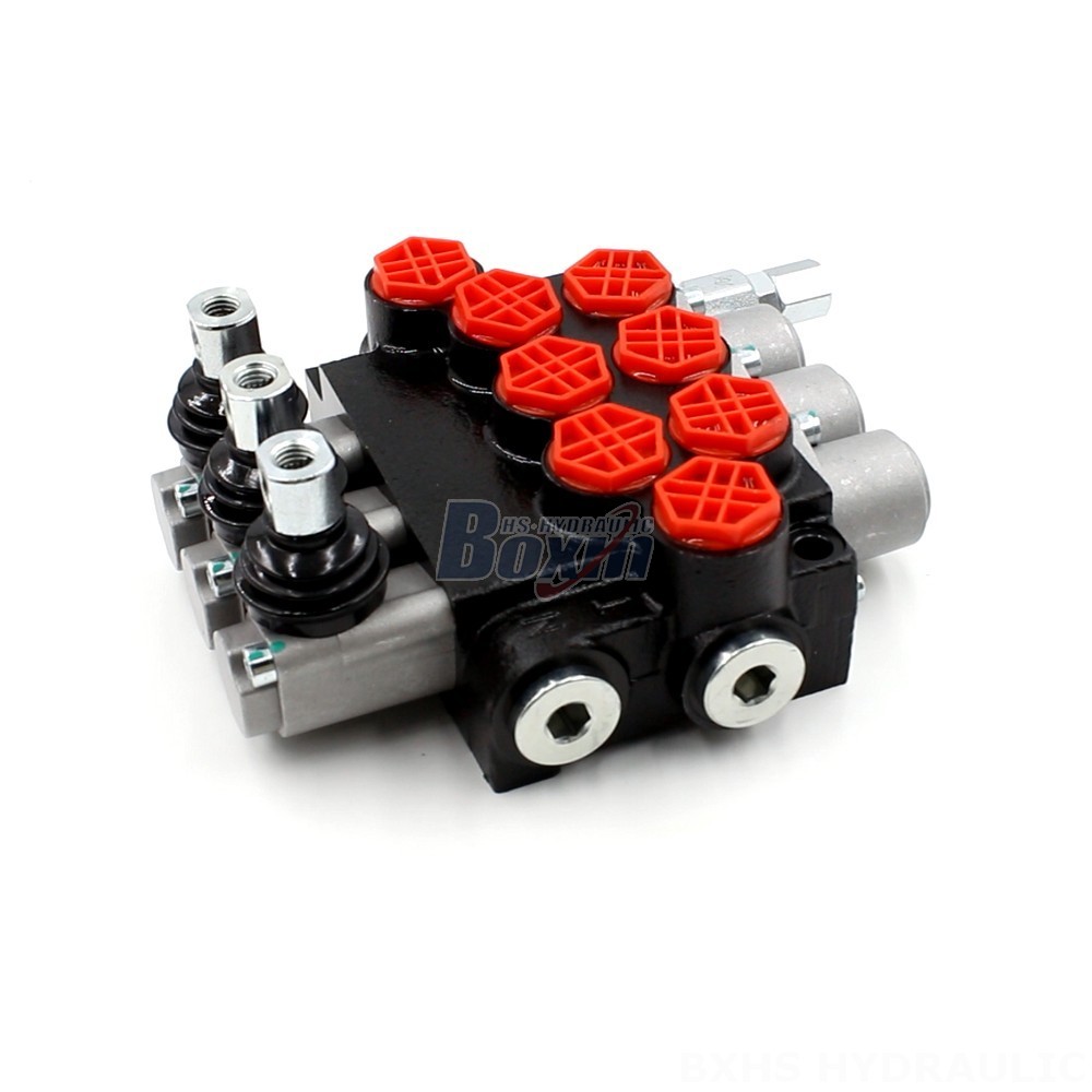 Two Way Spool Valve Manual Monoblock Hydraulic Valve: P40-G12 Series | Trusted Manufacturer main image