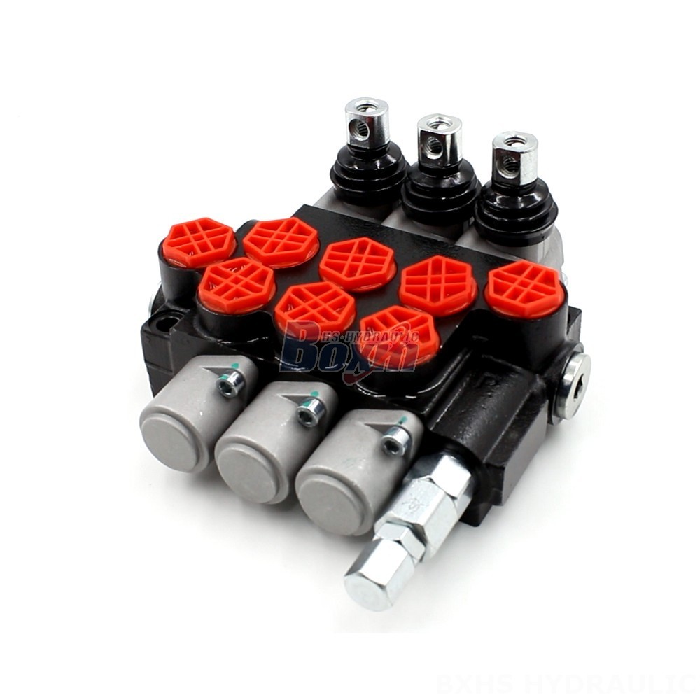 Hydraulic Selector Valve 3 Ways OEM/ODM Capabilities: Customize Your P40-G12 Directional Valves main image