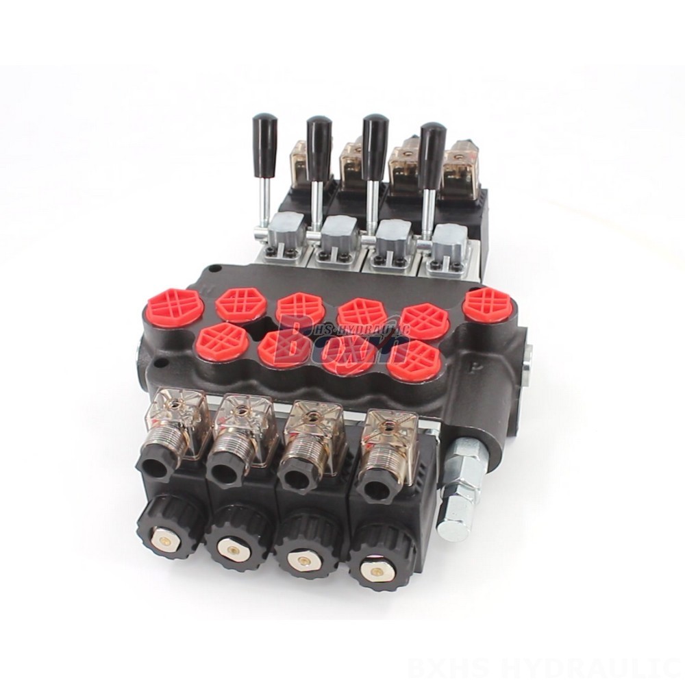 Manufacturer of P40-S Hydraulic Valves: Bulk Orders Welcome main image