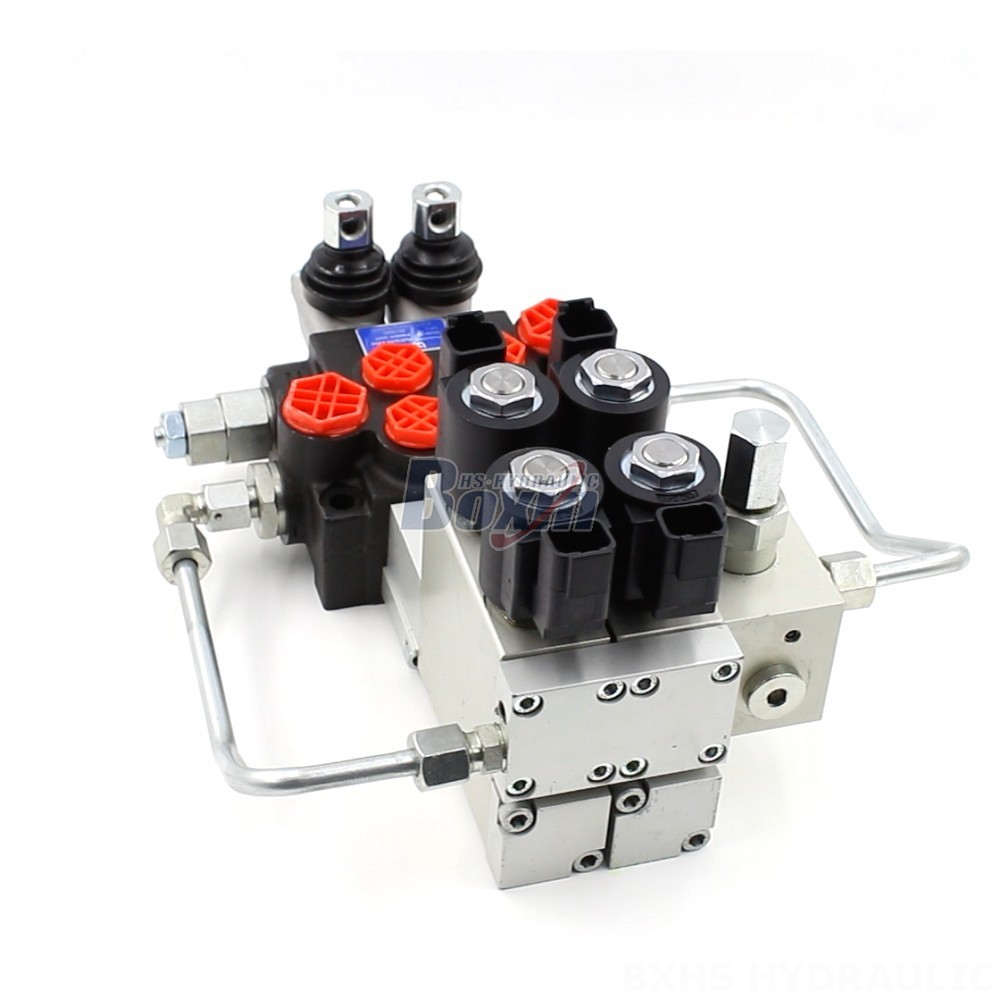 Design and Manufacture to Your Specifications: OEM and ODM for P40 Valves main image