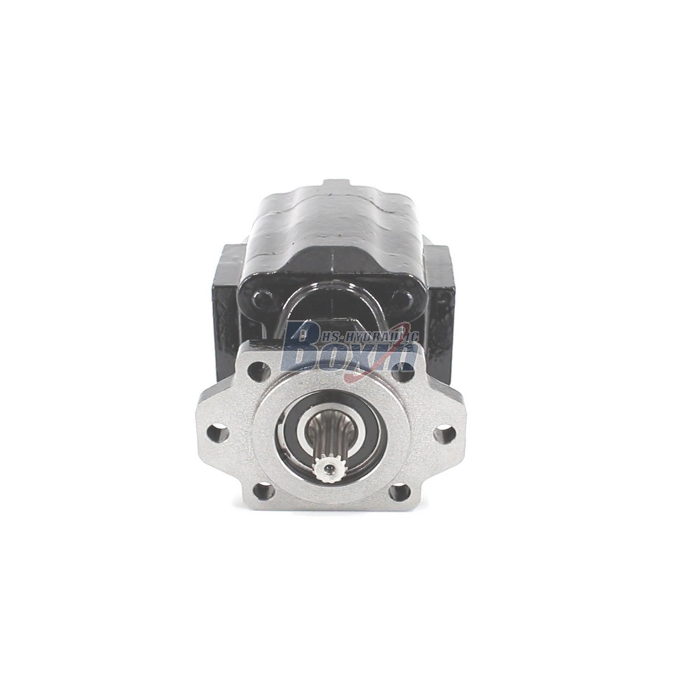 Professional Production of P51A646TEYR25-25 Hydraulic Gear Pump main image