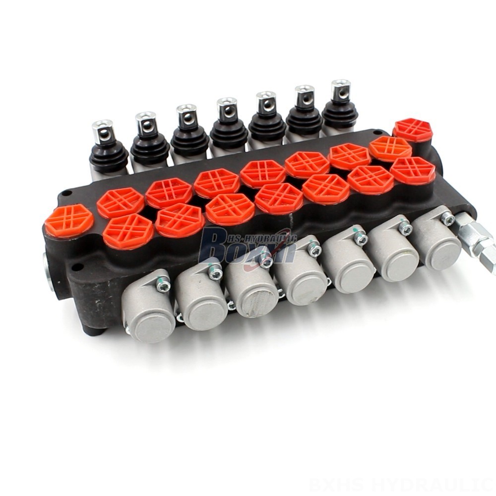 Hydraulic Lock Valve For Crane P80-G34-OT Directional Valve: Enhanced Efficiency and Durability cover photo