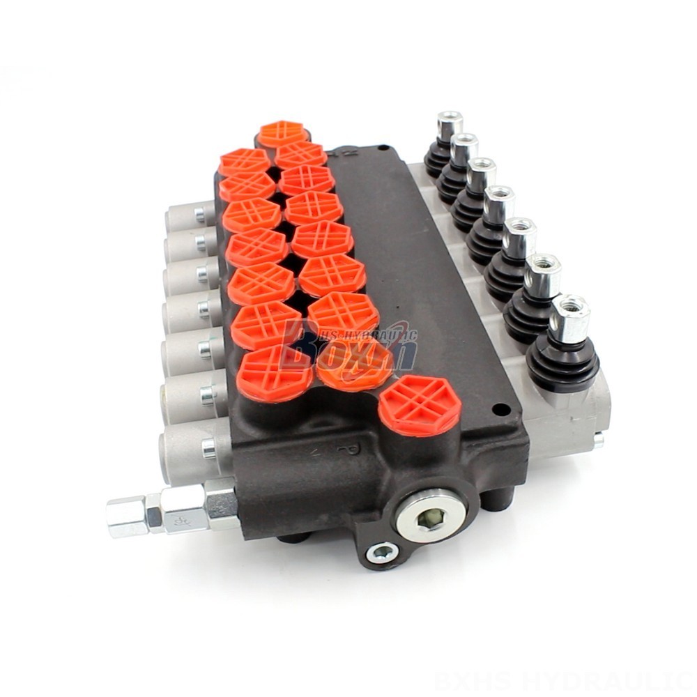 Hydraulic Lock Valve For Crane P80-G34-OT Directional Valve: Enhanced Efficiency and Durability main image
