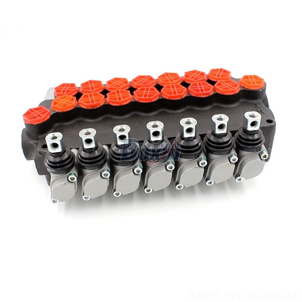 2 Spool Hydraulic Control Valve OEM/ODM Capabilities: Tailored P80-G34-OT Valves for Your Needs main image