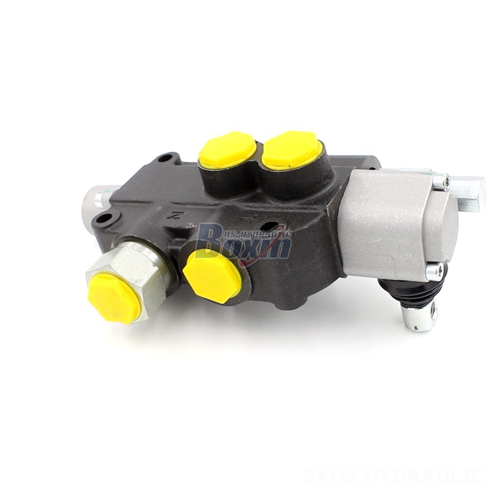 Pressure Limiting Valve Hydraulic Direct from the Source: P80J Hydraulic Valves Factory Supply cover photo