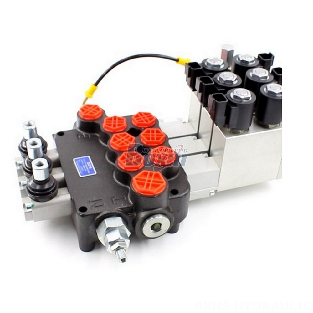 1 Spool Hydraulic Valve P80 Valves:  Flexible Manufacturing Options - OEM, ODM, Private Label main image