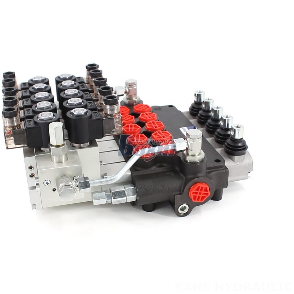 P80 Monoblock Directional Valve: Manufacturer Direct Supply, Bulk Discounts Available cover photo