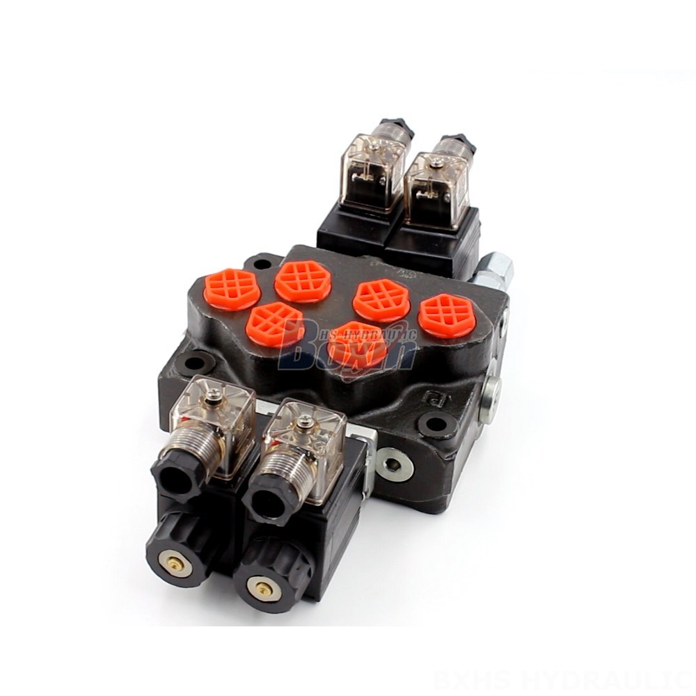 Hydraulic Valve Monoblock Directional Valve with 2 Spools - SD5 Series | Wholesale & OEM main image