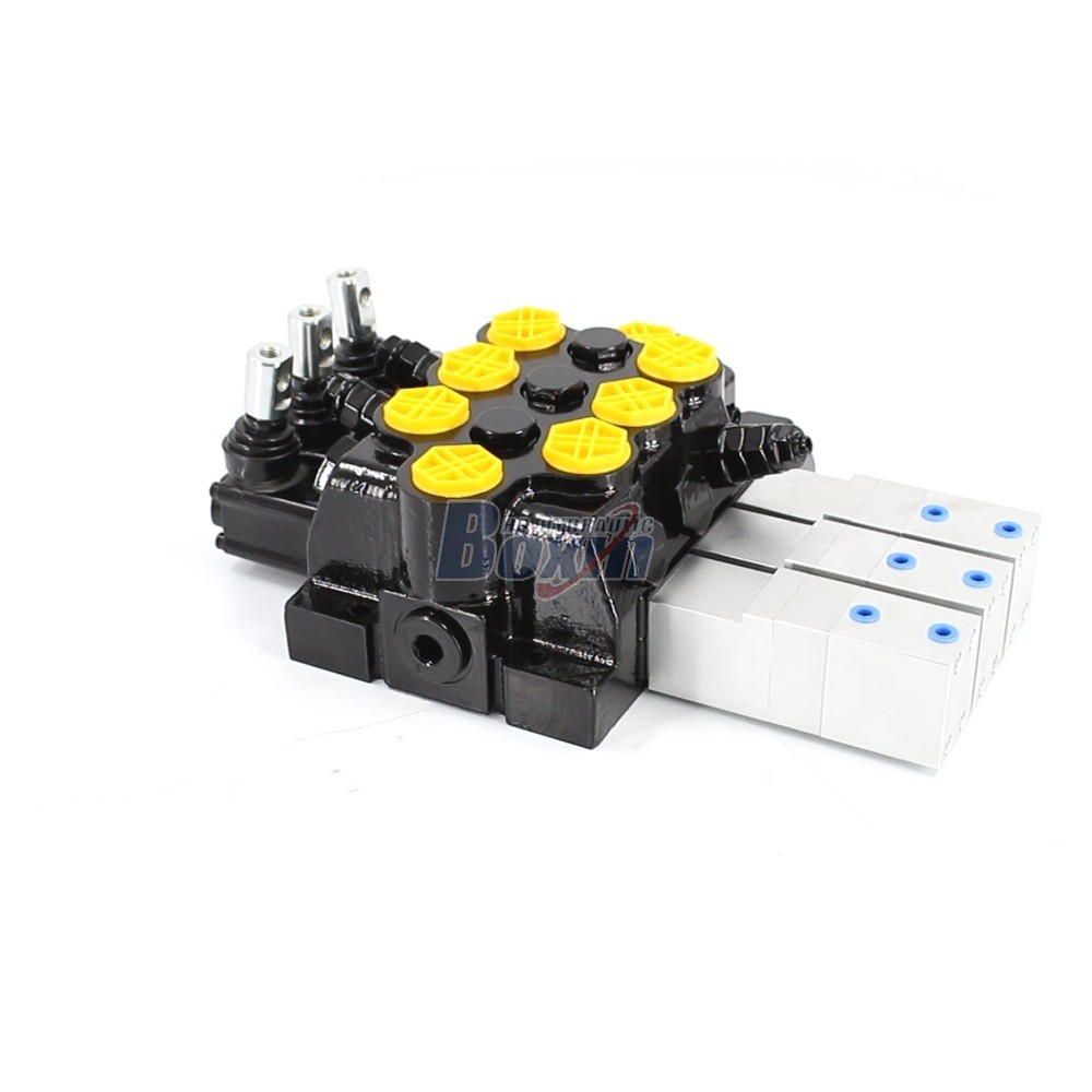 Leading Manufacturer of WZF-125 Monoblock Directional Valves main image
